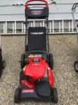 troybilt21inchmower1_small.jpg